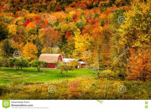 rural-vermont-autumn-typical-red-barn-edge-forest-76860503